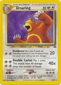 Ursaring (34) 034/75 [Neo Discovery]  - Unlimited